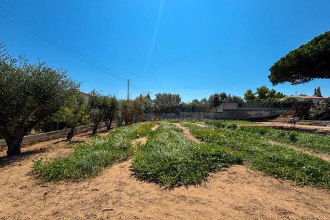 Villa a Sorso, Sassari, Sorso - € 248.000 | Ref: 13800 - foto 41