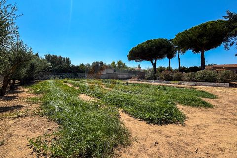 Villa a Sorso, Sassari, Sorso - € 248.000 | Ref: 13800 - foto 42