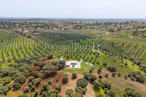 Landejendom i Avis, Portalegre, Avis - € 1.080.000 | Ref: FG293 - foto 2
