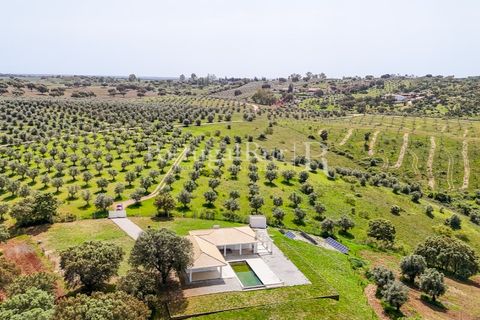 Landejendom i Avis, Portalegre, Avis - € 1.080.000 | Ref: FG293 - foto 3