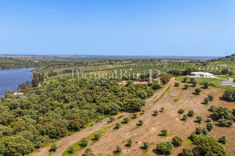 Landejendom i Avis, Portalegre, Avis - € 1.080.000 | Ref: FG293 - foto 6