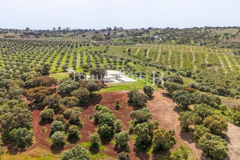 Landejendom i Avis, Portalegre, Avis - € 1.080.000 | Ref: FG293 - foto 9