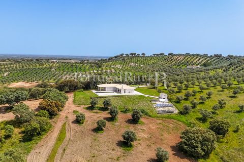 Landejendom i Avis, Portalegre, Avis - € 1.080.000 | Ref: FG293 - foto 10