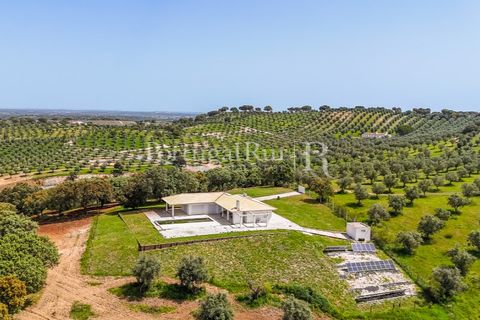 Landejendom i Avis, Portalegre, Avis - € 1.080.000 | Ref: FG293 - foto 11