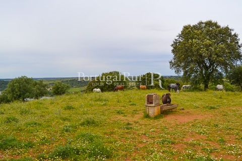 Landejendom i Avis, Portalegre, Avis - € 1.080.000 | Ref: FG293 - foto 24