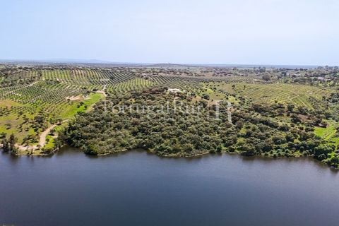 Landejendom i Avis, Portalegre, Avis - € 1.080.000 | Ref: FG293 - foto 29