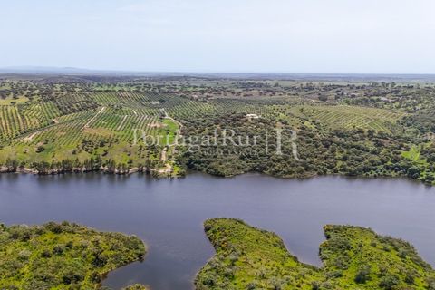 Landejendom i Avis, Portalegre, Avis - € 1.080.000 | Ref: FG293 - foto 30