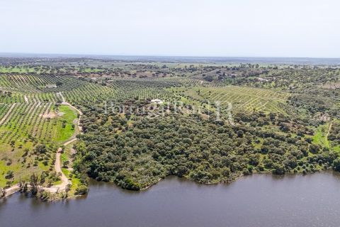 Landejendom i Avis, Portalegre, Avis - € 1.080.000 | Ref: FG293 - foto 31