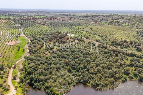Landejendom i Avis, Portalegre, Avis - € 1.080.000 | Ref: FG293 - foto 32