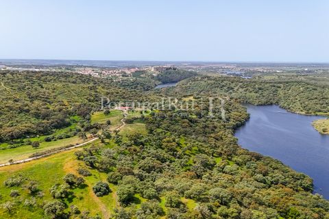 Landejendom i Avis, Portalegre, Avis - € 1.080.000 | Ref: FG293 - foto 33