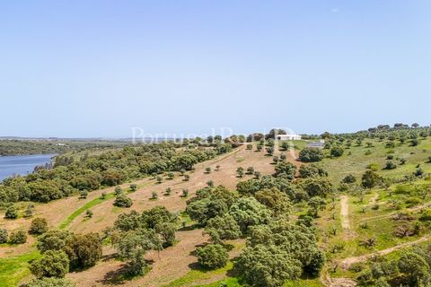 Landejendom i Avis, Portalegre, Avis - € 1.080.000 | Ref: FG293 - foto 35