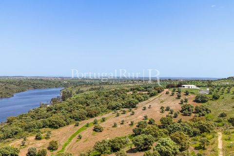 Landejendom i Avis, Portalegre, Avis - € 1.080.000 | Ref: FG293 - foto 36