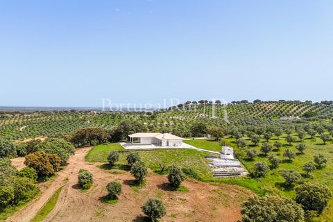 Landejendom i Avis, Portalegre, Avis - € 1.080.000 | Ref: FG293 - foto 37