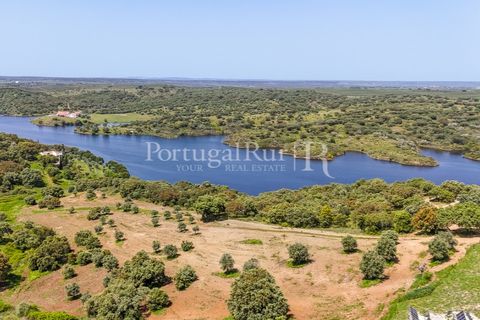 Landejendom i Avis, Portalegre, Avis - € 1.080.000 | Ref: FG293 - foto 39