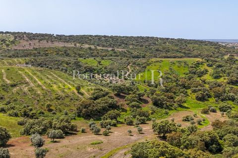 Landejendom i Avis, Portalegre, Avis - € 1.080.000 | Ref: FG293 - foto 42