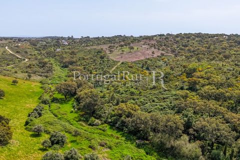 Landejendom i Avis, Portalegre, Avis - € 1.080.000 | Ref: FG293 - foto 45