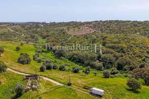 Landejendom i Avis, Portalegre, Avis - € 1.080.000 | Ref: FG293 - foto 46