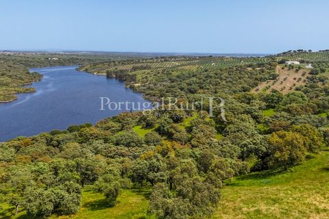 Landejendom i Avis, Portalegre, Avis - € 1.080.000 | Ref: FG293 - foto 47