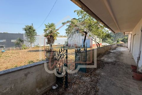 Villa i Agueda, Aveiro, Agueda - € 450.000 | Ref: CAS_183 - foto 33
