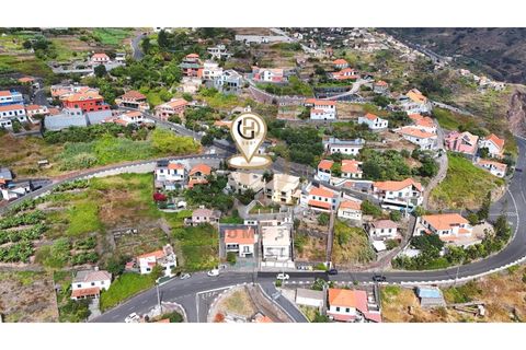 Villa i Ribeira Brava, Madeira, Ribeira Brava - € 900.000 | Ref: CAS_24 - foto 49