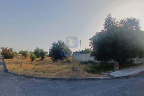 Helårsgrund i Alcanena, Santarem, Alcanena - € 50.000 | Ref: LIZ-216613 - foto 1