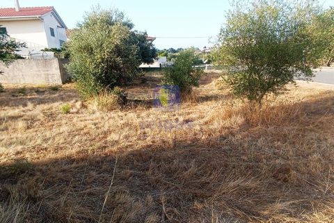 Helårsgrund i Alcanena, Santarem, Alcanena - € 50.000 | Ref: LIZ-216613 - foto 5