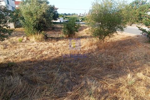 Helårsgrund i Alcanena, Santarem, Alcanena - € 50.000 | Ref: LIZ-216613 - foto 6