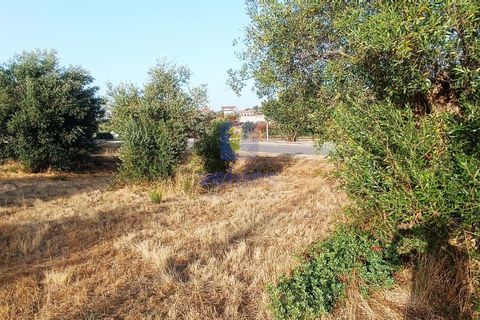 Helårsgrund i Alcanena, Santarem, Alcanena - € 50.000 | Ref: LIZ-216613 - foto 7