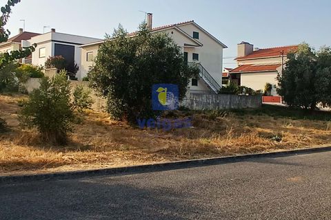 Helårsgrund i Alcanena, Santarem, Alcanena - € 50.000 | Ref: LIZ-216613 - foto 8