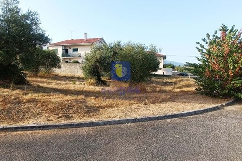 Helårsgrund i Alcanena, Santarem, Alcanena - € 50.000 | Ref: LIZ-216613 - foto 9