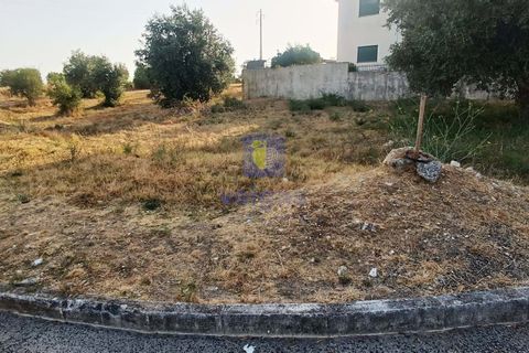 Helårsgrund i Alcanena, Santarem, Alcanena - € 50.000 | Ref: LIZ-216613 - foto 12