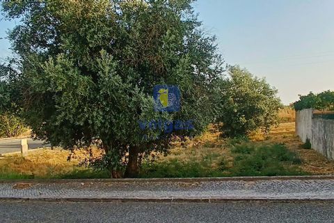 Helårsgrund i Alcanena, Santarem, Alcanena - € 50.000 | Ref: LIZ-216613 - foto 13