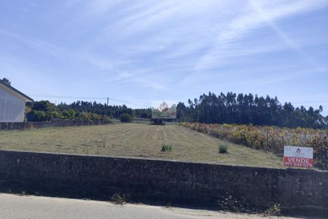 Helårsgrund i Anadia, Aveiro, Anadia - € 69.000 | Ref: 4080 - foto 1