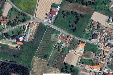 Helårsgrund i Anadia, Aveiro, Anadia - € 69.000 | Ref: 4080 - foto 3