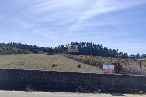 Helårsgrund i Anadia, Aveiro, Anadia - € 69.000 | Ref: 4080 - foto 6