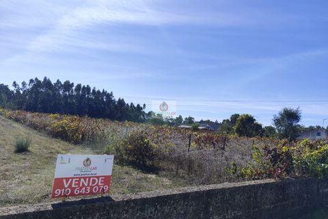 Helårsgrund i Anadia, Aveiro, Anadia - € 69.000 | Ref: 4080 - foto 7