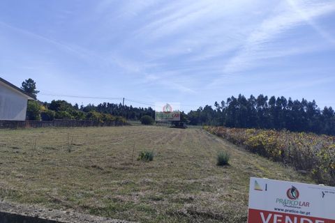 Helårsgrund i Anadia, Aveiro, Anadia - € 69.000 | Ref: 4080 - foto 8