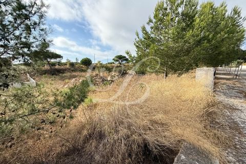 Helårsgrund i Sintra, Lisbon, Sintra - € 259.000 | Ref: 42142-3 - foto 13