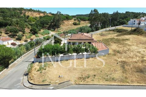 Terra a Chamusca, Santarem, Chamusca - € 35.000 | Ref: 1861 - foto 3