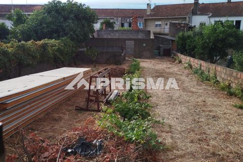 Helårsgrund i Castelo Branco, Castelo Branco, Castelo Branco - € 37.500 | Ref: PP4649 - foto 2