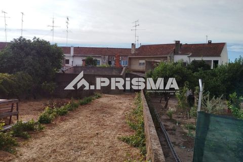 Helårsgrund i Castelo Branco, Castelo Branco, Castelo Branco - € 37.500 | Ref: PP4649 - foto 3