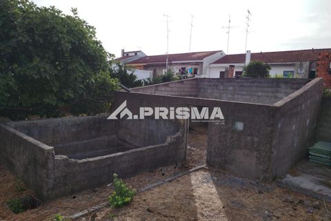 Helårsgrund i Castelo Branco, Castelo Branco, Castelo Branco - € 37.500 | Ref: PP4649 - foto 5
