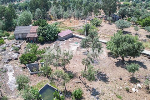 Farm i Castelo Branco, Castelo Branco, Castelo Branco - € 59.500 | Ref: PP4608 - foto 6
