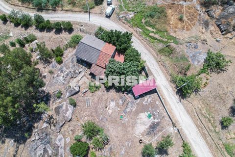 Farm i Castelo Branco, Castelo Branco, Castelo Branco - € 59.500 | Ref: PP4608 - foto 5