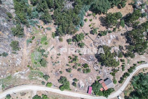 Farm i Castelo Branco, Castelo Branco, Castelo Branco - € 59.500 | Ref: PP4608 - foto 27