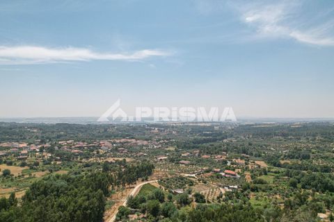 Farm i Castelo Branco, Castelo Branco, Castelo Branco - € 59.500 | Ref: PP4608 - foto 9