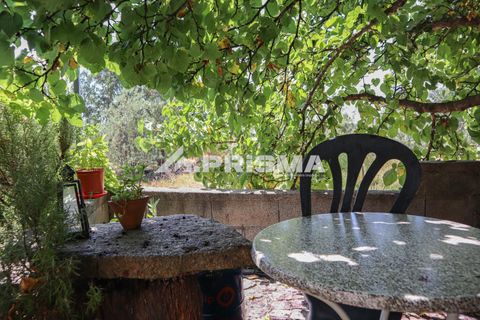 Farm i Castelo Branco, Castelo Branco, Castelo Branco - € 59.500 | Ref: PP4608 - foto 3