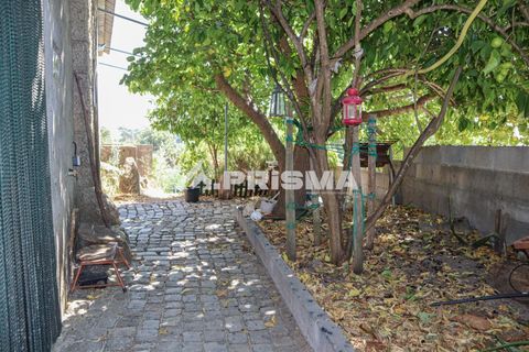 Farm i Castelo Branco, Castelo Branco, Castelo Branco - € 59.500 | Ref: PP4608 - foto 4