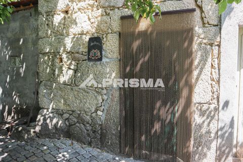 Farm i Castelo Branco, Castelo Branco, Castelo Branco - € 59.500 | Ref: PP4608 - foto 2