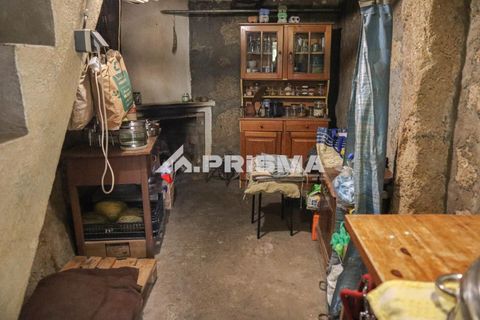 Farm i Castelo Branco, Castelo Branco, Castelo Branco - € 59.500 | Ref: PP4608 - foto 10